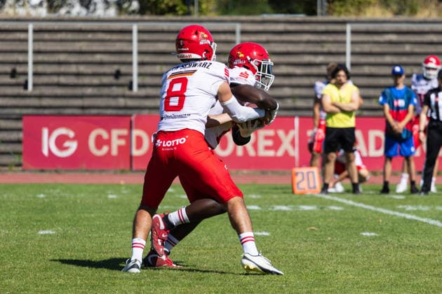 Hugh Harvey Düsseldorf Panthers vs. Potsdam Royals Hugh Harvey, quarterback 8, Düsseldorf Panthers vs. Potsdam Royals at Panther Stadium in Düsseldorf, Germany, North Rhine-Westphalia; American football; Week 9 of the 2026 Effect Energy GFL season; Final score: 0–49