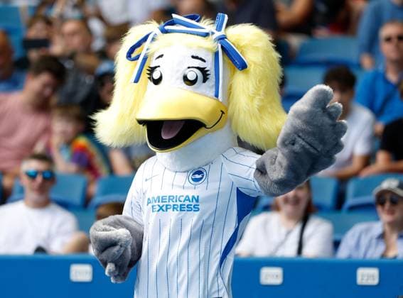 Brighton and Hove Albion s female mascot Sally the Seagull Brighton and Hove Albion v Roma, Pre Season Friendly, Football, American Express Community Stadium, Brighton, UK - 08 Aug 2026Brighton American Express Community Stadi United Kingdom EDITORIAL USE ONLY No use with unauthorised audio, video, data, fixture lists, club league logos or live services. Online in-match use limited to 120 images, no video emulation. No use in betting, games or single club league player publications.  Copyright: xMattxImpey Shutterstockx 17050873ei