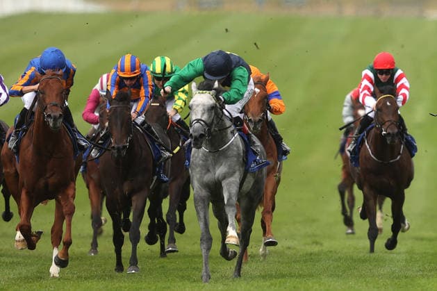 Equestrian sports, horse racing, race day at the Curragh