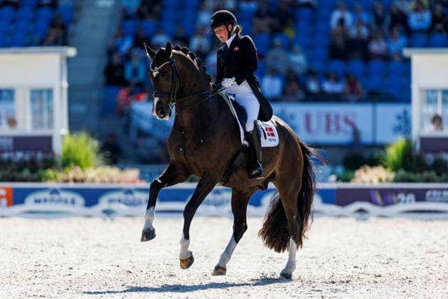 2026 FEI World Championships in Aachen, Aachen FEI World Championships 2026: Nadja Aaboe (DEN), Favor Gersdorf FEI Dressage World Championship Grand Prix de Dressage, Part 1: Team Final, Individual Qualification, Lambertz Prize Aachen, Soers Equestrian Stadium, August 11, 2026