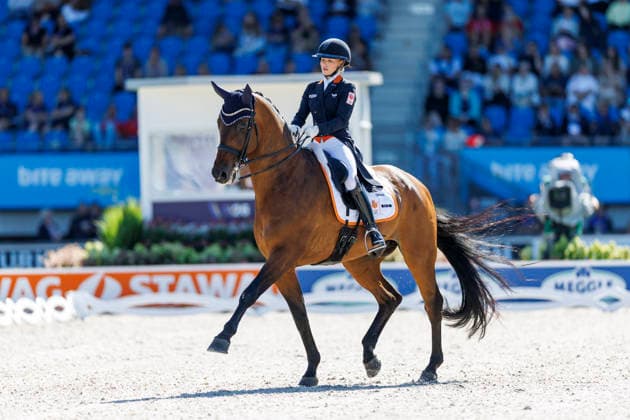 2026 FEI World Championships in Aachen, AACHEN FEI World Championships 2026 WEGGELAAR Rowena NED, Don Quichot FEI Dressage World Championship Grand Prix de Dressage, Part 1: Team Final, Individual Qualifier, Lambertz Prize Aachen, Soers Equestrian Stadium, August 11, 2026