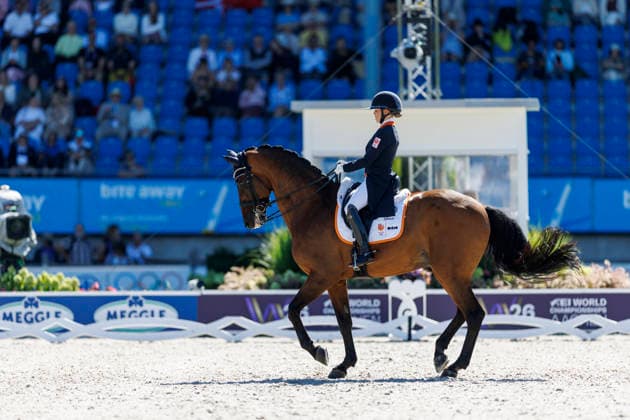 2026 FEI World Championships in Aachen, AACHEN FEI World Championships 2026 WEGGELAAR Rowena NED, Don Quichot FEI Dressage World Championship Grand Prix de Dressage, Part 1: Team Final, Individual Qualifier, Lambertz Prize Aachen, Soers Equestrian Stadium, August 11, 2026