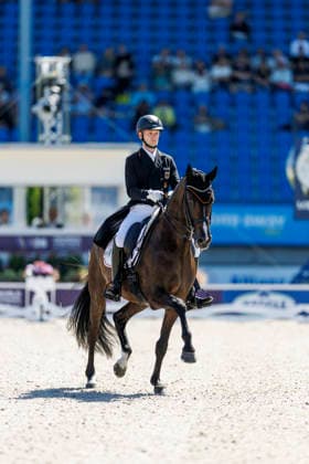 2026 FEI World Championships in Aachen, AACHEN FEI World Championships 2026 NETZ Raphael GER, Great Escape Camelot FEI Dressage World Championship Grand Prix de Dressage Part 1 Team Final Individual Qualifier Lambertz Prize Aachen, Soers Equestrian Stadium, August 11, 2026