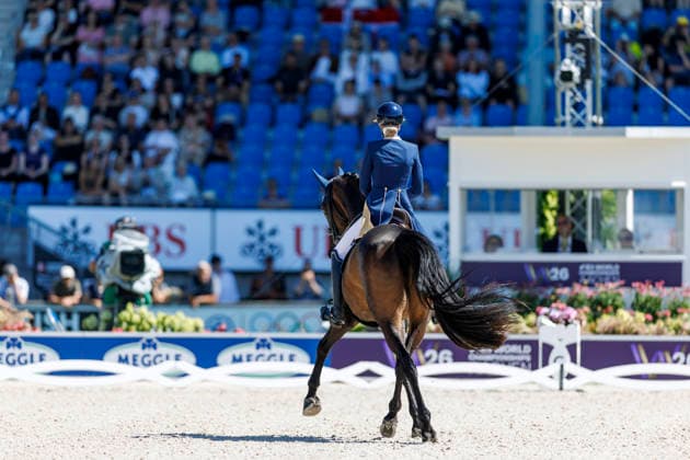 2026 FEI World Championships in Aachen, Aachen FEI World Championships 2026: Simone Pearce (AUS), Will Marq – FEI Dressage World Championship Grand Prix de Dressage, Part 1: Team Final, Individual Qualification, Lambertz Prize Aachen, Soers Equestrian Stadium, August 11, 2026