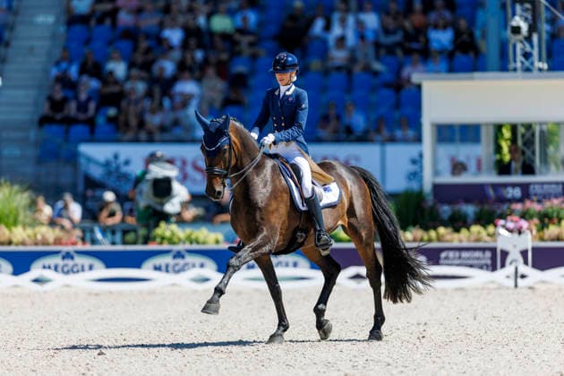 2026 FEI World Championships in Aachen, Aachen FEI World Championships 2026: Simone Pearce (AUS), Will Marq – FEI Dressage World Championship Grand Prix de Dressage, Part 1: Team Final, Individual Qualification, Lambertz Prize Aachen, Soers Equestrian Stadium, August 11, 2026