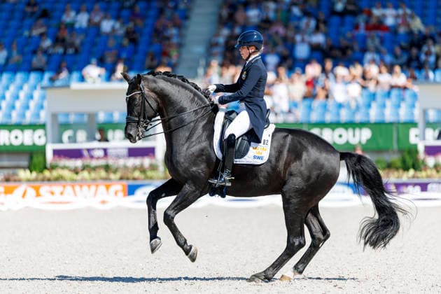2026 FEI World Championships in Aachen, Aachen FEI World Championships 2026 Therese Nilshagen (SWE), Navarro FEI Dressage World Championship Grand Prix de Dressage, Part 1: Team Final, Individual Qualification, Lambertz Prize Aachen, Soers Equestrian Stadium, August 11, 2026