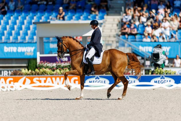 2026 FEI World Championships in Aachen, AACHEN FEI World Championships 2026 MENDOZA LOOR Julio ECU, Jewel’s Goldstrike FEI Dressage World Championship Grand Prix de Dressage, Part 1: Team Final, Individual Qualification, Lambertz Prize Aachen, Soers Equestrian Stadium, August 11, 2026