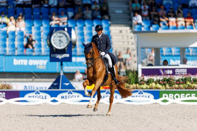 2026 FEI World Championships in Aachen, AACHEN FEI World Championships 2026 MENDOZA LOOR Julio ECU, Jewel’s Goldstrike FEI Dressage World Championship Grand Prix de Dressage, Part 1: Team Final, Individual Qualification, Lambertz Prize Aachen, Soers Equestrian Stadium, August 11, 2026