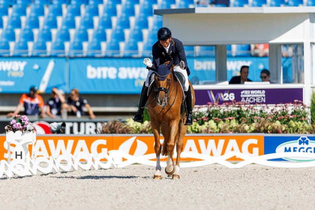 2026 FEI World Championships in Aachen, AACHEN FEI World Championships 2026 MENDOZA LOOR Julio ECU, Jewel’s Goldstrike FEI Dressage World Championship Grand Prix de Dressage, Part 1: Team Final, Individual Qualification, Lambertz Prize Aachen, Soers Equestrian Stadium, August 11, 2026
