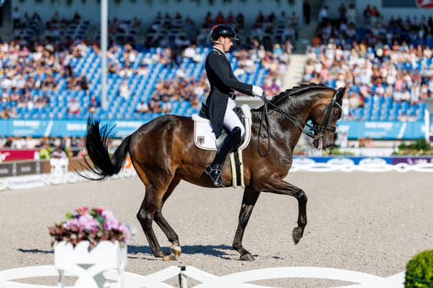 2026 FEI World Championships in Aachen, AACHEN FEI World Championships 2026: Frederic WANDRES (GER) on Bluetooth Old – FEI Dressage World Championship Grand Prix de Dressage, Part 1: Team Final, Individual Qualifier, Lambertz Prize Aachen, Soers Equestrian Stadium, August 11, 2026