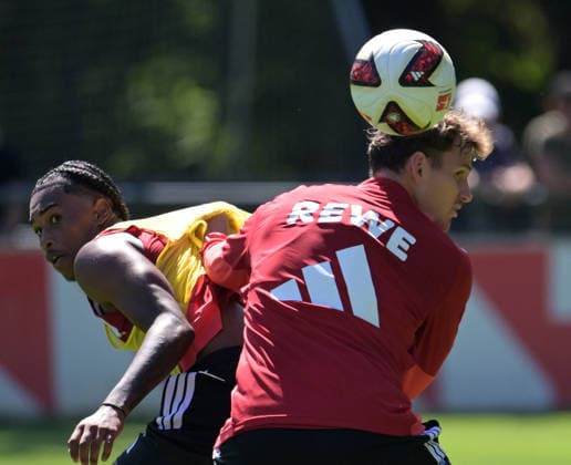 August 11, 2026, xophax, Soccer, Bundesliga 1, 1. FC Köln Training at the Geissbockheim, home of 1. FC Köln. Reigan Huskey (left) and Rav van den Berg (right), 1. FC Köln, Cologne