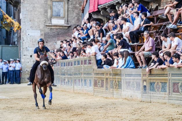 August 12, 2026, Siena, Toscana, Italy: The traditional night trials of the Palio di Siena, now called regulated trials, take place at dawn in Piazza del Campo and serve to evaluate the horses for the race. Siena, 12 08 2026 Palio Di Siena, The Regulated Trials At Dawn In Piazza Del Campo  - ZUMAa289 20260812_zia_a289_005 Copyright: xSalvatorexDexRosax xAgfx