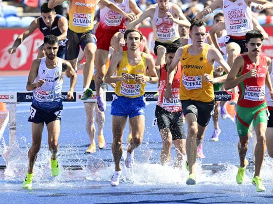 The image is included in the SPORTS PACKAGE. For others PAYMENT IMAGE.