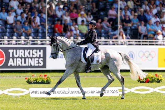 AACHEN FEI World Championships 2026, AACHEN FEI World Championships 2026 HANSEN HOTOPP Malin GER, Carlitos Quidditch K FEI Eventing World Championship Dressage Part 1 Team Individual Aachen, Reitstadion Soers, August 13, 2026
