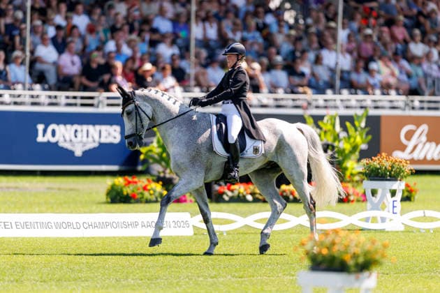 AACHEN FEI World Championships 2026, AACHEN FEI World Championships 2026 HANSEN HOTOPP Malin GER, Carlitos Quidditch K FEI Eventing World Championship Dressage Part 1 Team Individual Aachen, Reitstadion Soers, August 13, 2026