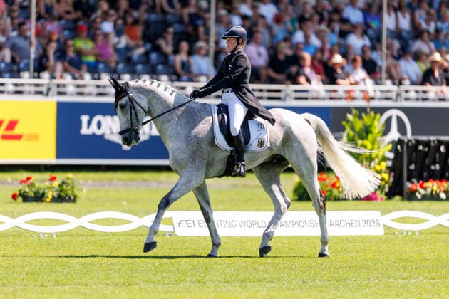 AACHEN FEI World Championships 2026, AACHEN FEI World Championships 2026 HANSEN HOTOPP Malin GER, Carlitos Quidditch K FEI Eventing World Championship Dressage Part 1 Team Individual Aachen, Reitstadion Soers, August 13, 2026