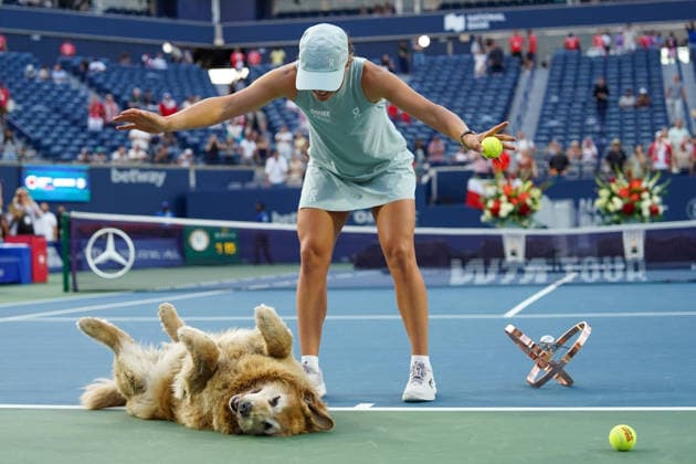 Tennis, WTA tournament in Toronto, final, Elway the dog celebrates with winner Swiatek