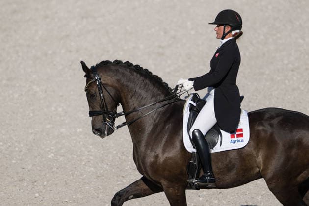August 14, 2026: Nadja Aaboe Sloth of Denmark, riding Favour Gersdorf, competes in the Dressage Grand Prix Special on Day 4 of the 2026 FEI World Championships on August 14, 2026 in Aachen. Photo by Emma Wallskog, BILDBYRAN, code EW EW0682. equestrian sports, 2026 World Championships, 2026 FEI World Championships, BBENG, equestrian sports, World Championships, dressage, Denmark Copyright: EMMAxWALLSKOG BB260814EW007