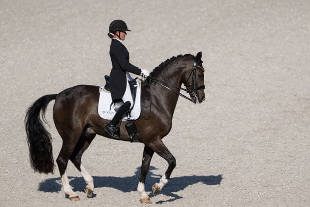 August 14, 2026: Nadja Aaboe Sloth of Denmark, riding Favour Gersdorf, competes in the Dressage Grand Prix Special on Day 4 of the 2026 FEI World Championships on August 14, 2026 in Aachen. Photo by Emma Wallskog, BILDBYRAN, code EW EW0682. equestrian sports, 2026 World Championships, 2026 FEI World Championships, BBENG, equestrian sports, World Championships, dressage, Denmark Copyright: EMMAxWALLSKOG BB260814EW008