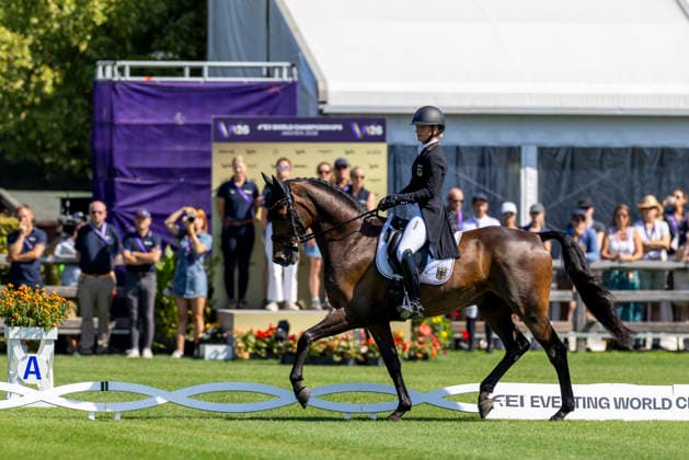 2026 FEI World Championships in Aachen, AACHEN FEI World Championships 2026 KRAJEWSKI Julia GER, Uelzener’s Nickel FEI Eventing World Championship Dressage Part 2 Team and Individual Aachen, Soers Equestrian Stadium, August 14, 2026 HOLST Holsteiner Verband