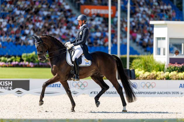 AACHEN FEI World Championships 2026, AACHEN FEI World Championships 2026 BY ESSEN Maria SWE, Invoice FEI Dressage World Championship Grand Prix Special Individual Meggle Prize Aachen, Soers Equestrian Stadium, August 14, 2026