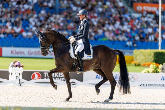 AACHEN FEI World Championships 2026, AACHEN FEI World Championships 2026 BY ESSEN Maria SWE, Invoice FEI Dressage World Championship Grand Prix Special Individual Meggle Prize Aachen, Soers Equestrian Stadium, August 14, 2026
