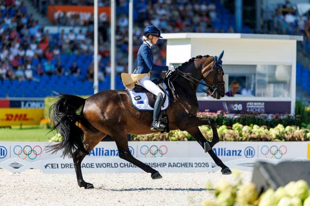 AACHEN FEI World Championships 2026, AACHEN FEI World Championships 2026 PEARCE Simone AUS, Will Marq FEI Dressage World Championship Grand Prix Special Individual Meggle Prize Aachen, Soers Equestrian Stadium, August 14, 2026