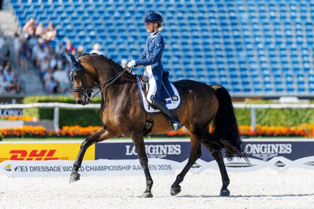 AACHEN FEI World Championships 2026, AACHEN FEI World Championships 2026 PEARCE Simone AUS, Will Marq FEI Dressage World Championship Grand Prix Special Individual Meggle Prize Aachen, Soers Equestrian Stadium, August 14, 2026