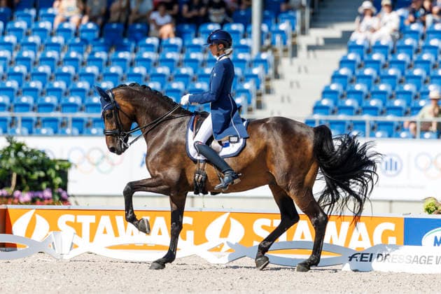 AACHEN FEI World Championships 2026, AACHEN FEI World Championships 2026 PEARCE Simone AUS, Will Marq FEI Dressage World Championship Grand Prix Special Individual Meggle Prize Aachen, Soers Equestrian Stadium, August 14, 2026