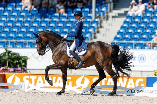 AACHEN FEI World Championships 2026, AACHEN FEI World Championships 2026 PEARCE Simone AUS, Will Marq FEI Dressage World Championship Grand Prix Special Individual Meggle Prize Aachen, Soers Equestrian Stadium, August 14, 2026