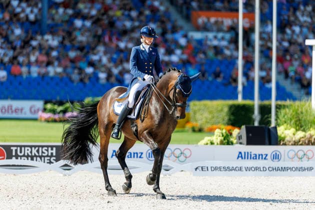 AACHEN FEI World Championships 2026, AACHEN FEI World Championships 2026 PEARCE Simone AUS, Will Marq FEI Dressage World Championship Grand Prix Special Individual Meggle Prize Aachen, Soers Equestrian Stadium, August 14, 2026