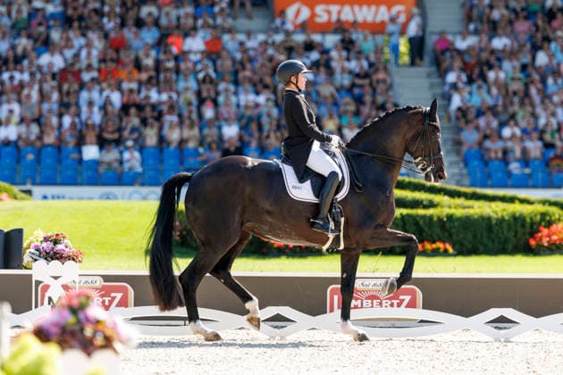 AACHEN FEI World Championships 2026, AACHEN FEI World Championships 2026 Isabell Werth (GER), Wendy de Fontaine FEI Dressage World Championship Grand Prix Special Individual Meggle Prize Aachen, Soers Equestrian Stadium, August 14, 2026