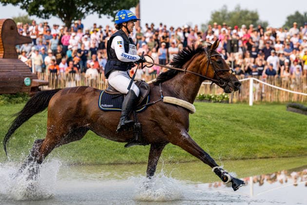 August 15, 2026: Sofia Sjöborg of Sweden, riding Bryjamolga van het Marienshof, competes in the Eventing Cross Country on Day 5 of the 2026 FEI World Championships in Aachen. 2026 in Aachen. Photo by Emma Wallskog, BILDBYRAN, code EW EW0685. equestrian sports, riding, 2026 World Championships, 2026 FEI World Championships, BBENG, equestrian sports, World Championships, eventing, cross-country, Sweden  Copyright: EMMAxWALLSKOG BB260815EW018
