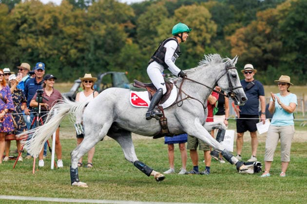 AACHEN FEI World Championships 2026, AACHEN FEI World Championships 2026 JOHNER MÃ lody SUI, Erin FEI Eventing World Championship Cross Country Team and Individual Events, Aachen, Soers Equestrian Stadium, August 15, 2026
