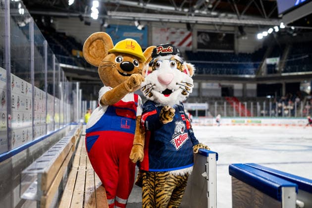 August 16, 2026 Ice Hockey Season 2026–2027 Penny DEL Public Practice of the Nuremberg Ice Tigers Icetigers ThHa xthxhax Maxmaus Mascot, Max Bögl Company with Pucki Mascot, Nuremberg Ice Tigers, NIT