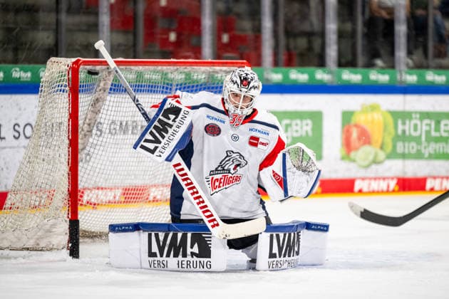 August 16, 2026, 2026–2027 Ice Hockey Season, Penny DEL, Nuremberg Ice Tigers Public Practice, Icetigers ThHa xthxhax, Luis Janett 35, Nuremberg Ice Tigers, NIT