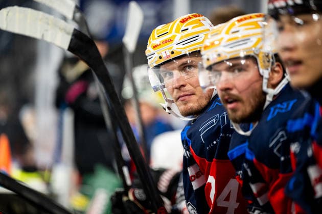 August 16, 2026, 2026–2027 Ice Hockey Season, Penny DEL, Nuremberg Ice Tigers Public Practice, Icetigers ThHa xthxhax, Marcus Weber, 24, Nuremberg Ice Tigers, NIT