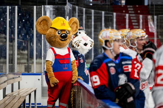 August 16, 2026, 2026–2027 Ice Hockey Season, Penny DEL, Nuremberg Ice Tigers Public Practice, Icetigers ThHa xthxhax, Maxmaus mascot, Max Bögl company with Pucki mascot, Nuremberg Ice Tigers (NIT) off the ice