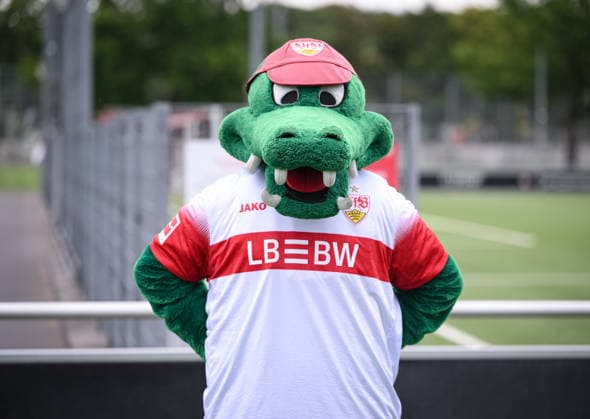 SOCCER: BUNDESLIGA 1, 2026–2027 SEASON, August 18, 2026: Photo session at VfB Stuttgart s training facility with the mascot Fritzle