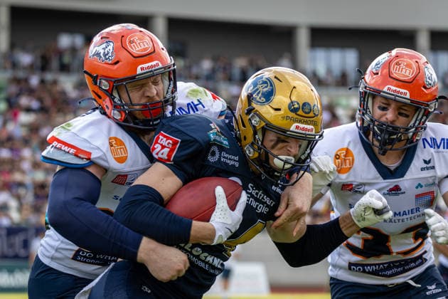 Janne Särkelä (Dresden Monarchs, 84 Wide Receiver) is tackled by Samuel Mindham (ifm Razorbacks Ravensburg, 30 Defensive Back) and Jona Uekert (ifm Razorbacks Ravensburg, 33 Defensive Back) Dresden Monarchs vs ifm Razorbacks Ravensburg, American Football, German Football League, Week 17, 2026, 30.08.2026, Dresden Heinz-Steyer-Stadion Saxony Germany Copyright: xPFA SebastianxJustx