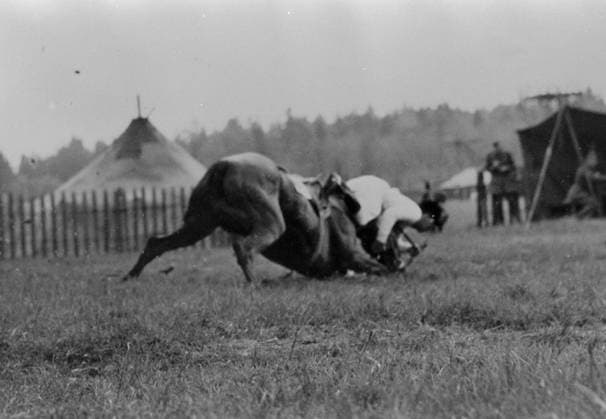 Equestrian sports, eventing. Competition photo: The winner of the dressage test, O. Rothe of Germany, riding Sissi, falls after the final obstacle before the finish line on the show jumping course at the Olympic Games, Stockholm, June 12, 1956, Sweden Editor’s note: Exact date unknown Photographer: SCIF BILDBYRÅN COP 350 Stockholm, Sweden  Copyright: xScifx