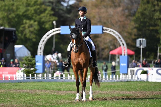 RECORD DATE NOT STATED 18th September 2026; Blenheim Palace, Woodstock, Oxfordshire, England; Blenheim Palace International Horse Trials, Day 2; The Preacher Man ridden by Coral Hardman of Great Britain during the dressage SimonxWest