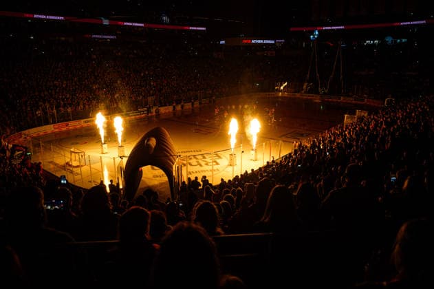 COLOGNE, GERMANY - 18 SEPTEMBER, 2026: - The PENNY DEL Ice hockey, Eishockey match Koelner Haie vs. Grizzlys Wolfsburg at LANXESS arena.  Copyright: xVitaliixKliuievx