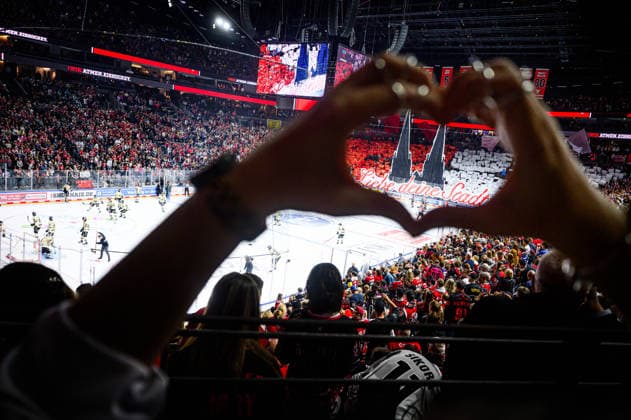 COLOGNE, GERMANY - 18 SEPTEMBER, 2026: - The PENNY DEL Ice hockey, Eishockey match Koelner Haie vs. Grizzlys Wolfsburg at LANXESS arena.  Copyright: xVitaliixKliuievx