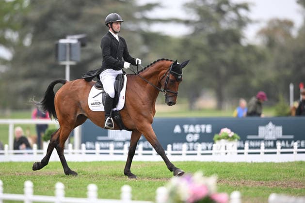 RECORD DATE NOT STATED 18th September 2026; Blenheim Palace, Woodstock, Oxfordshire, England; Blenheim Palace International Horse Trials, Day 2; Coombeland Semilly ridden by Rupert Batting of Great Britain during the dressage SimonxWest