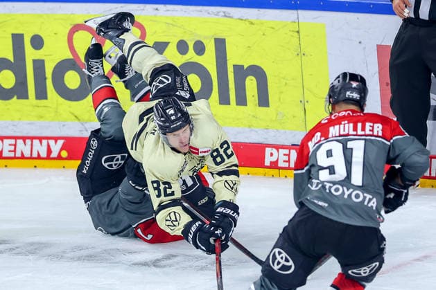 September 18, 2026, Ice hockey, DEL, Kölner Haie vs. Grizzlys Wolfsburg, Matchday 1, 2026–27 season, Lanxess Arena, Cologne. Will Graber (Grizzlys Wolfsburg, No. 82) falls to the ice during a collision with Carlos Händel (Kölner Haie, No. 07). North Rhine-Westphalia, Germany