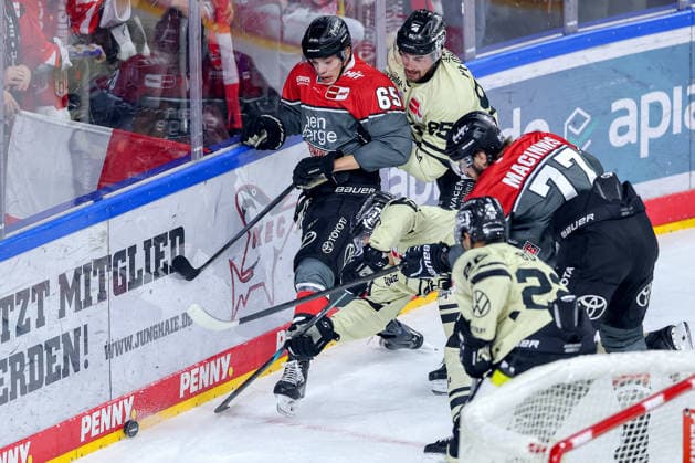 September 18, 2026, Ice hockey, DEL, Kölner Haie vs. Grizzlys Wolfsburg, Matchday 1, 2026–27 season, Lanxess Arena, Cologne; Fabio Pfohl (Grizzlys Wolfsburg, 95) in a battle against Marco Münzenberger (Kölner Haie, 65), North Rhine-Westphalia, Germany