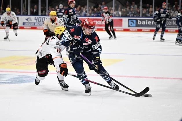 Ice hockey, DEL, Schwenninger Wild Wings v Löwen Frankfurt