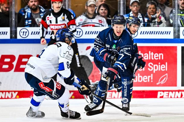 Emil Johansson, Iserlohn Roosters, 57; Elias Paul, ERC Ingolstadt, 8; GER; Iserlohn Roosters vs. ERC Ingolstadt; Ice Hockey; Penny DEL; Matchday 1; 2026–2027 Season; September 19, 2026, GER, Iserlohn Roosters vs. ERC Ingolstadt, Ice Hockey, Penny DEL, Matchday 1, 2026–2027 season, September 19, 2026, Iserlohn Copyright: xJonasxBrockmann Eibner-Pressefotx EP_JBN