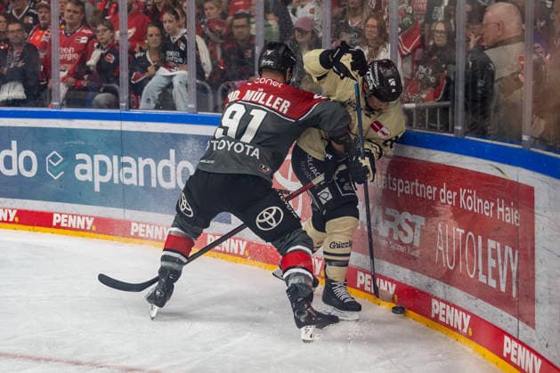 Face-off between Moritz Mueller of the Koelner Haie, 91, and Tyler Morley of the Grizzlys Wolfsburg, 86; Koelner Haie vs. Grizzlys Wolfsburg, ice hockey, Penny DEL, Matchday 1, 2026–2027 season, September 18, 2026, Cologne Sharks vs. Grizzlys Wolfsburg, Ice Hockey, Penny DEL, Matchday 1, 2026–2027 Season, September 18, 2026, Cologne Copyright: xEibner-Pressefoto ThomasxHaeslerx EP_THR
